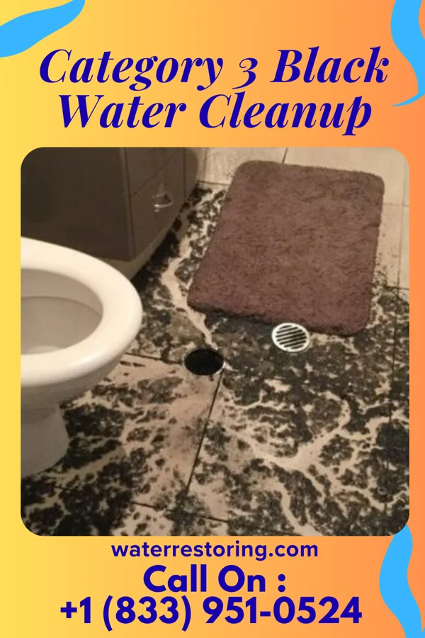 Category 3 Black Water Cleanup in Merriam, KS